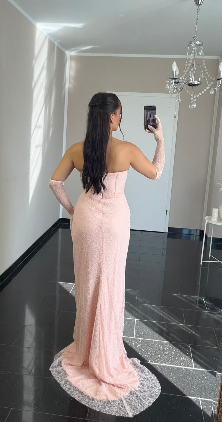 Aylina rosa